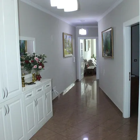 Center Daire Tiran